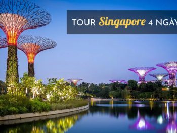 tour-singapore-tu-da-nang-1