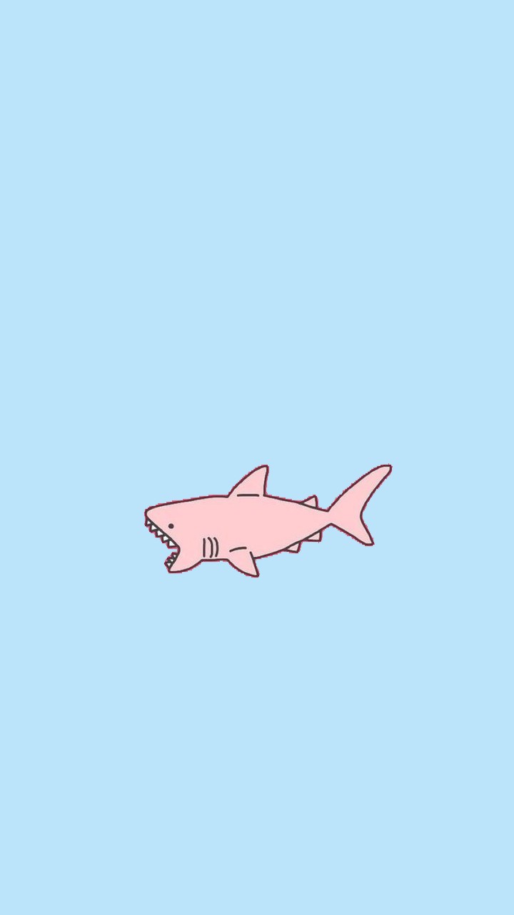 ảnh cá mập cute